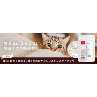 「乳酸菌H61株」を配合した猫用サプリメントtama「ストレスケア」