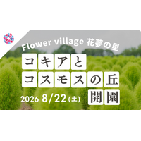 【広島／世羅】2026年８月22日OPEN！「コキアとコスモスの丘」今年は夏から秋にかけて開園します《Flower village 花夢の里》