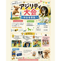 【Pets Tokyo 豪徳寺2号店】運動の秋🍁 アジリティー大会！