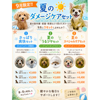 【西大井店】9月限定!!️夏のダメージケアセット🏖☀️