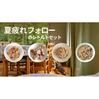 POCHI《夏疲れフォロー》疲れた体を労わるレトルトセットのご紹介