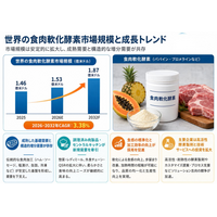 食肉軟化酵素市場調査会社が贈る：売上規模・調べ方・分析手法、年平均成長率（CAGR）3.4%の安定成長