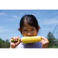 「AI副校長」のサポートのもと、学生・職員が手塩にかけて育てた高原野菜を直売所で販売中！【八ヶ岳農業大学校】