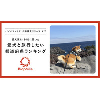 【シルバーウィーク直前】愛犬と旅行したい都道府県ランキング発表！