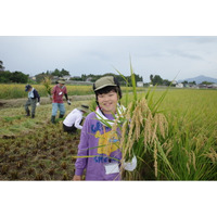 秋の風薫る上越市で稲刈りやみそ仕込み　生産者と体験する郷土文化10月3日（土）4日（日）〔東京〕