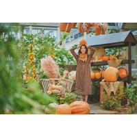 本物のかぼちゃ約300個が彩る 「ハロウィンフェア2026 」開催！子どもから大人まで思わず「可愛い」と心弾む。秋の神戸布引ハーブ園のガーデンの景観に溶け込む ここだけのフォトスポットが登場。