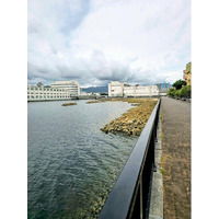 10月18日　TOYOTA SOCIAL FES!! 2026～「よみがえった都会の水辺・兵庫運河の魅力を知り、活動のお手伝いをしよう」を開催します〈無料〉
