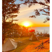 キャンプ場に響く幸せのモーニングコール！神割崎キャンプ場が宮城県出身の声優・山寺宏一さんとの期間限定コラボ企画を実施