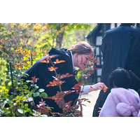 ブリティッシュヒルズで本格ハロウィンを体験！