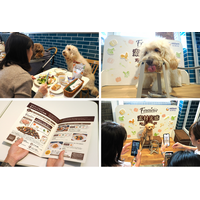 ユニ・チャーム、愛犬とおそろいの素材を使った食事が楽しめるドッグカフェイベント『Frecious 素材実感Cafe』 を期間限定で開催