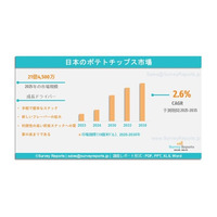 日本のナノコーティング市場：需要、市場シェア、トレンド、成長、市場機会、およびインサイト分析（2026～2036年）