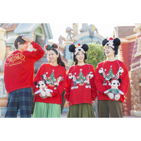 東京ディズニーリゾート(R)のクリスマス