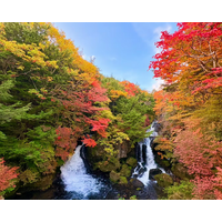 【日光市渋滞回避情報】紅葉時期の日光で渋滞対策を推進し、エコで快適な観光の標準化を目指します