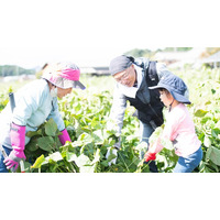 【ひょうごフィールドパビリオン】 “食欲の秋” “芸術の秋”におすすめ！「丹波エリア」で旬の食材や陶芸体験 