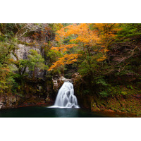 【三重・赤目四十八滝】秋の紅葉シーズン間もなく！昼は紅葉、夜は「三重赤目 滝あかり」自然と光に包まれる幻想の秋