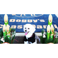 『愛犬と一緒に迎える、特別な年越しとお正月』Doggy’s Coast Oaraiにて年末年始限定のおもてなしを実施