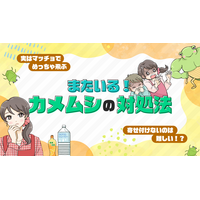 【ママスタセレクト】寄ってくるから、そっとサヨナラ。「またいる！カメムシ」特集を配信