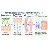「植物性乳酸菌OS-1010(TM)」が機能性表示食品として届出受理