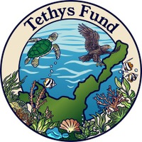 ＜助成先公募＞第3回「Tethys基金～石垣島・海の教育事業助成～」募集開始（2026/10/15～12/17）